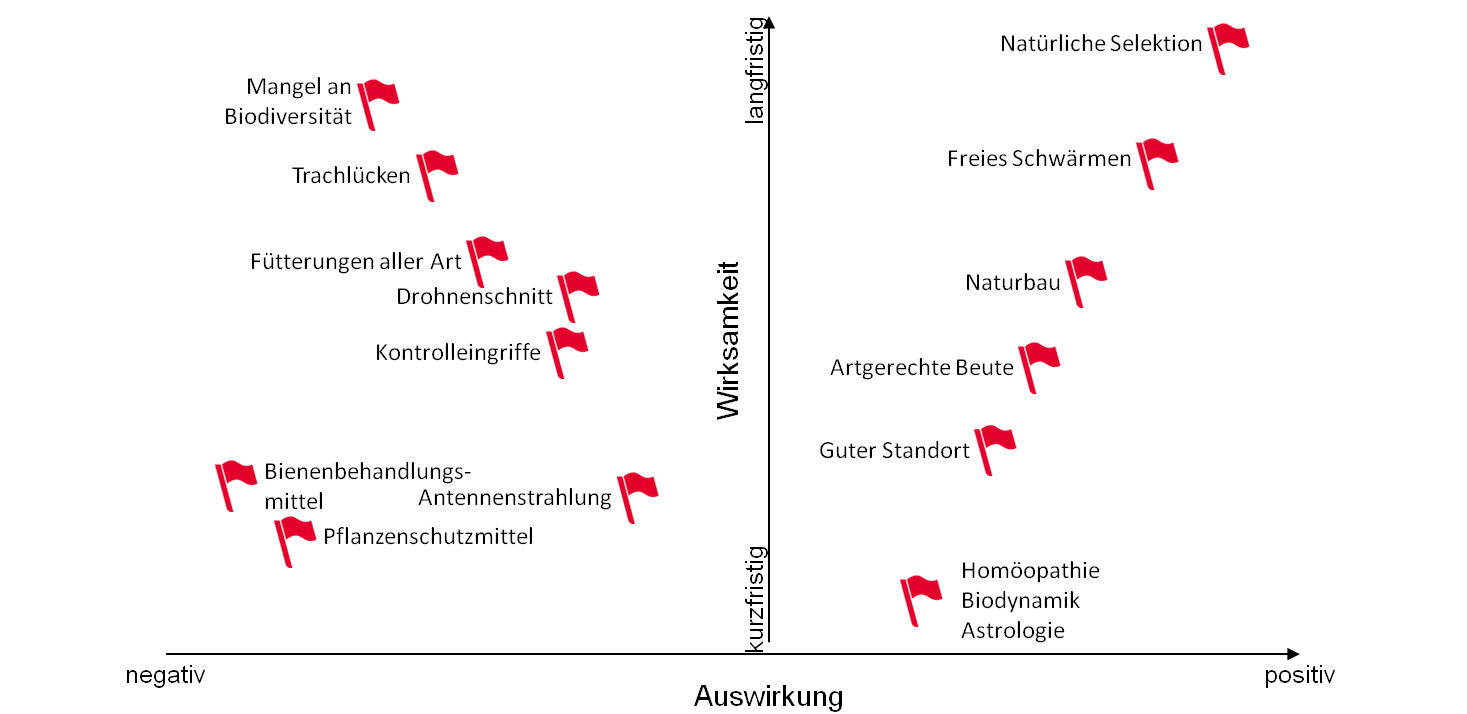 Auswirkungen auf die Biene, kurz- und langfristig von internen und externen Faktoren